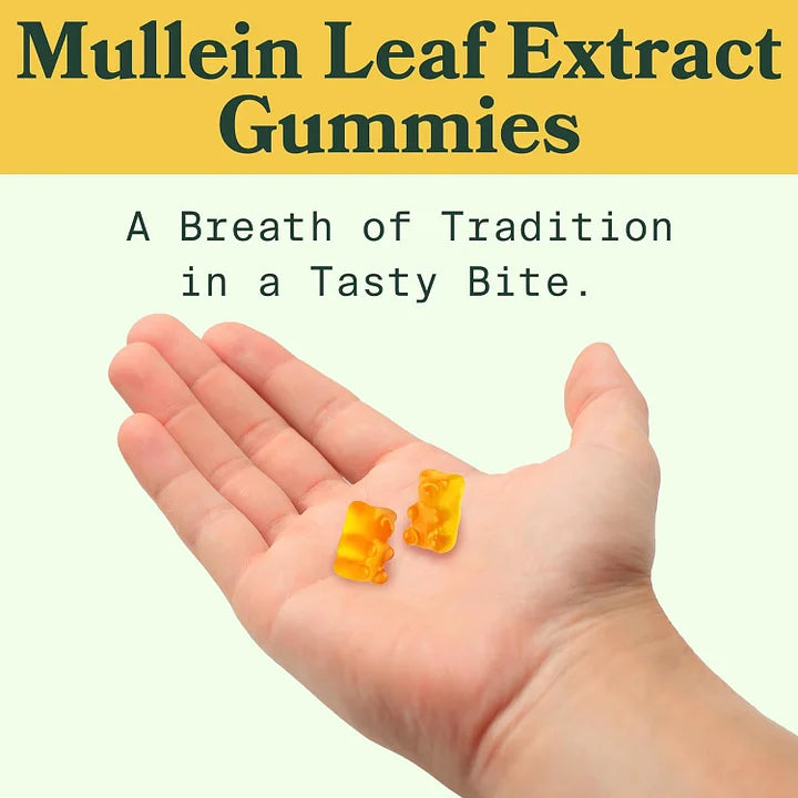 Mullein Gummies | Lung Health & Sinus Relief (30 Day Supply)
