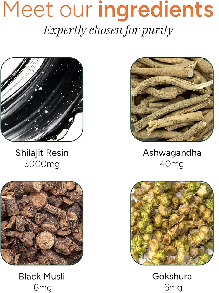 BazeecTM Pure Himalayan Shilajit Gummies